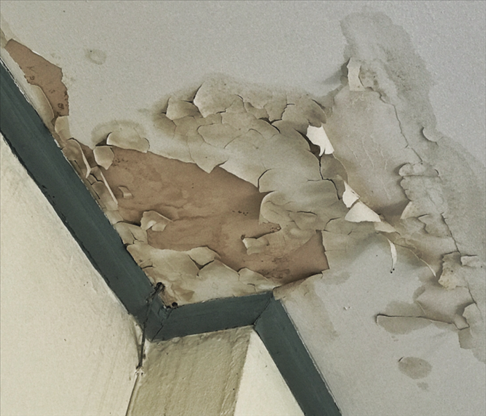 Peeling pain from ceiling due to water damage
